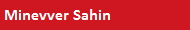 Minevver Sahin